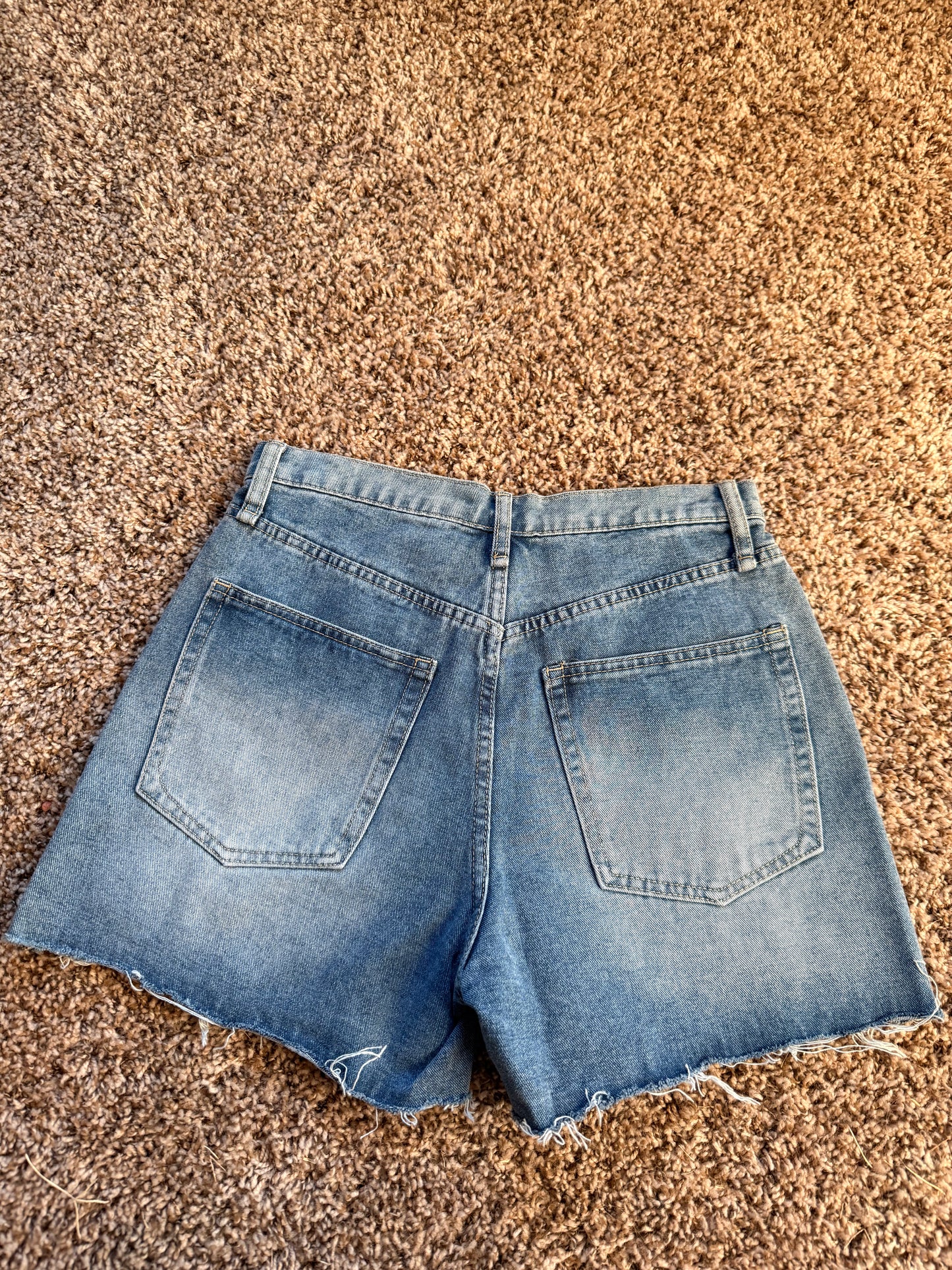 The Backroad Denim Shorts- Small